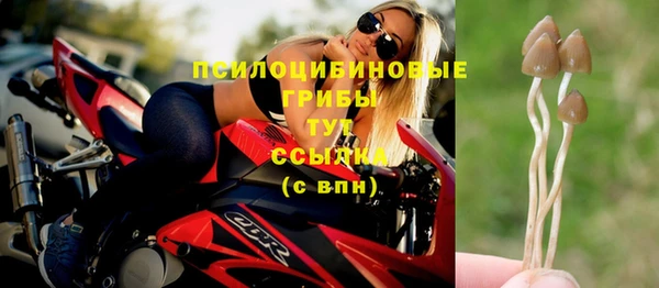 PSILOCYBIN Алексин