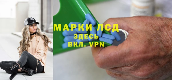 стафф Алзамай