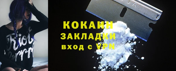 стафф Алзамай