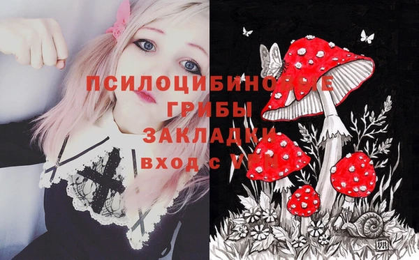 стафф Алзамай